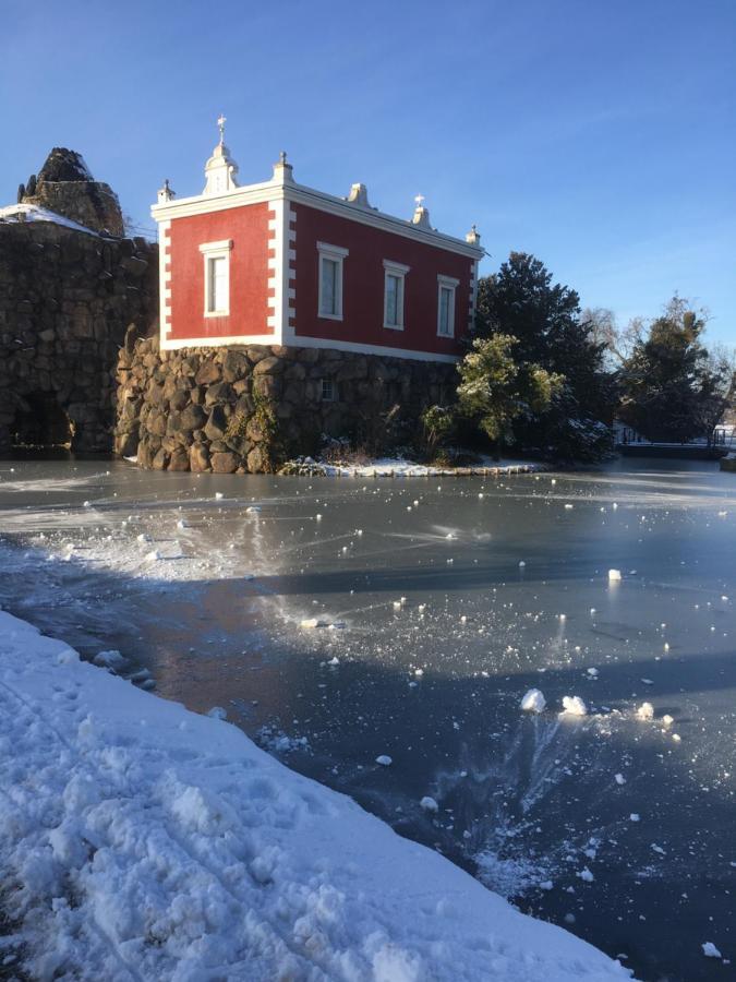 Ferienwohnung Matthisson Oranienbaum-Woerlitz Exteriör bild